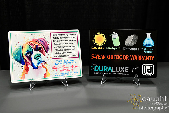 633 IAP Expo 2019-New Product Contest