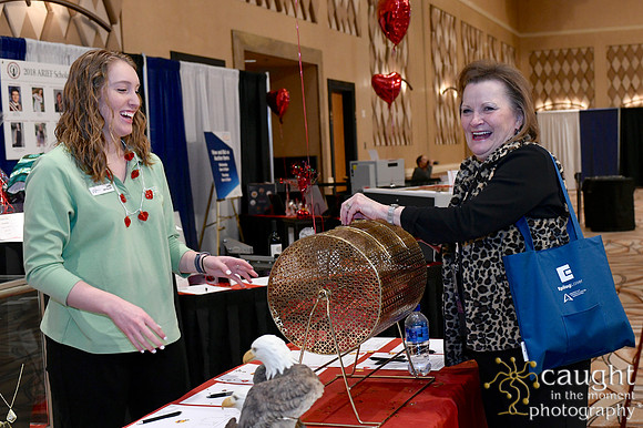 631 IAP Expo 2019-ARIEF Silent Auction