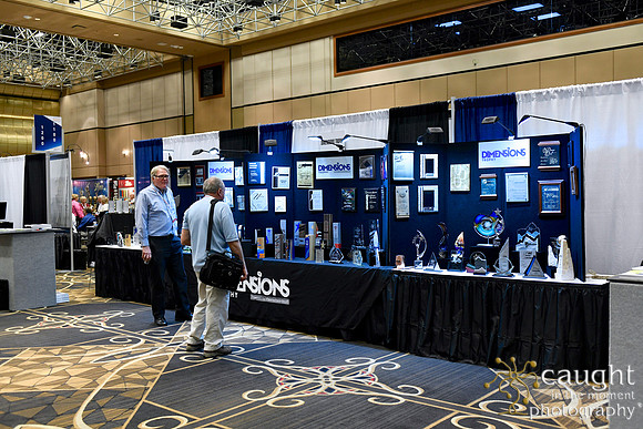 394 IAP Expo 2019-Exhibit Hall