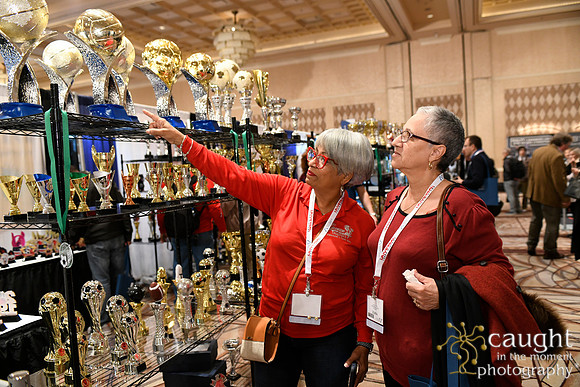 221 IAP Expo 2019-Exhibit Hall