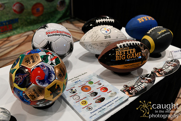 284 IAP Expo 2019-Exhibit Hall