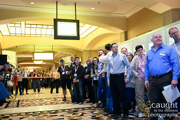 079 IAP Expo 2019-Exhibit Hall