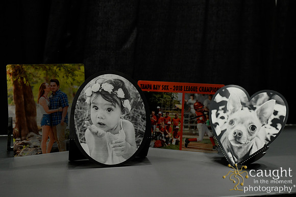 654 IAP Expo 2019-New Product Contest