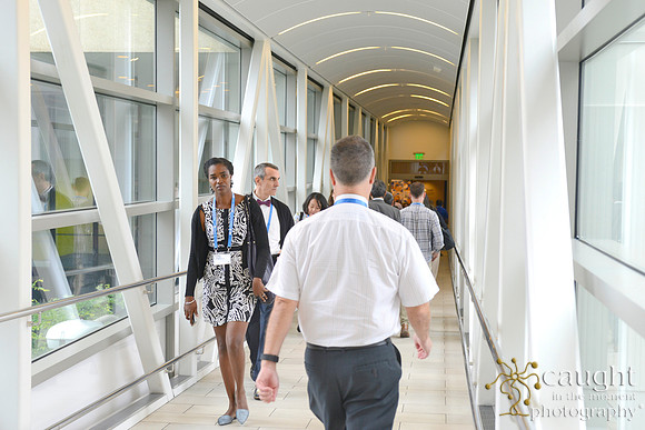 289 AoM Conference 2017 Atlanta