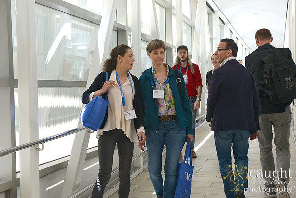 239 AoM Conference 2017 Atlanta