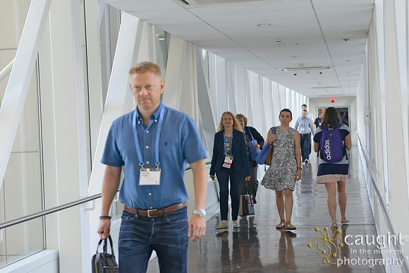 237 AoM Conference 2017 Atlanta
