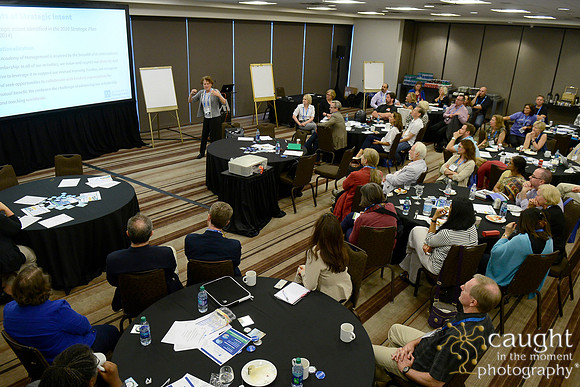 325 AoM Conference 2017 Atlanta