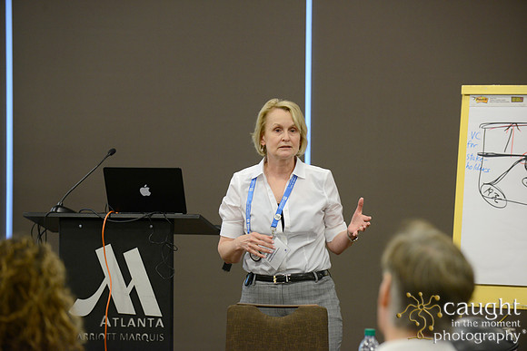 334 AoM Conference 2017 Atlanta