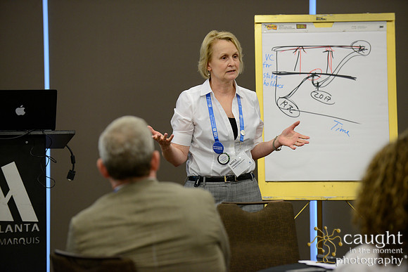 336 AoM Conference 2017 Atlanta
