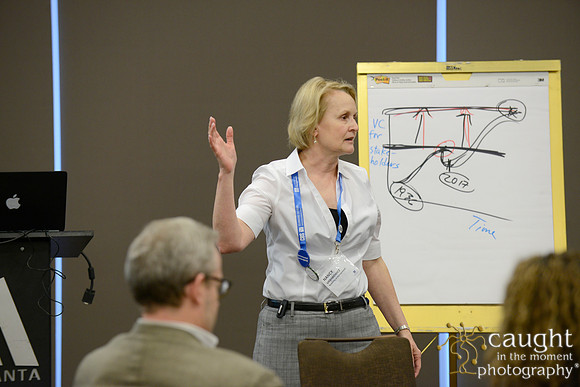 335 AoM Conference 2017 Atlanta