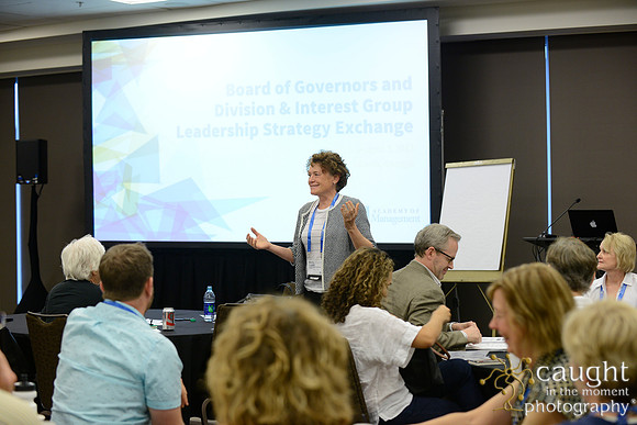 313 AoM Conference 2017 Atlanta