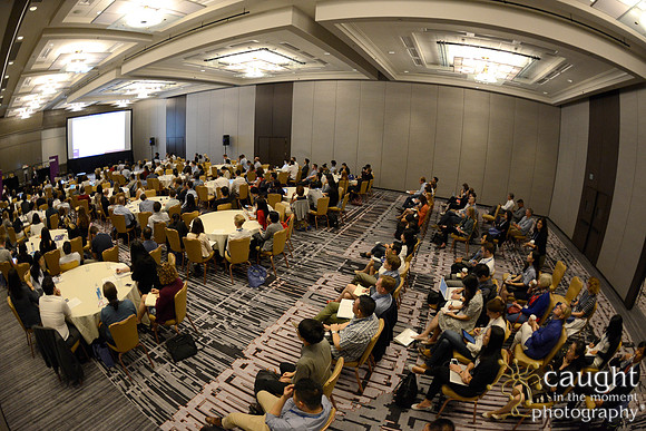 347 AoM Conference 2017 Atlanta
