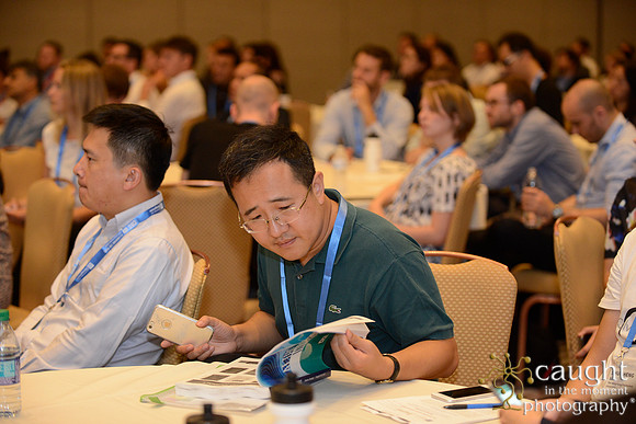 355 AoM Conference 2017 Atlanta