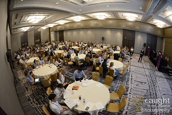 351 AoM Conference 2017 Atlanta