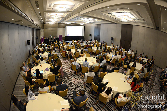 348 AoM Conference 2017 Atlanta