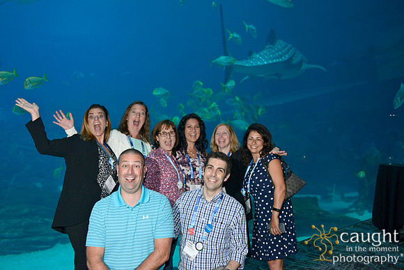 1118 AoM Conference 2017 Atlanta