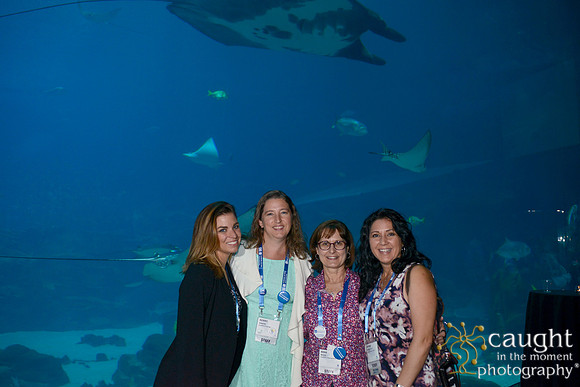 1113 AoM Conference 2017 Atlanta