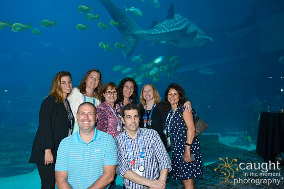 1117 AoM Conference 2017 Atlanta
