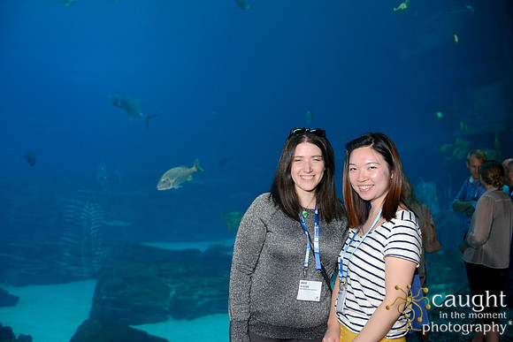 1098 AoM Conference 2017 Atlanta