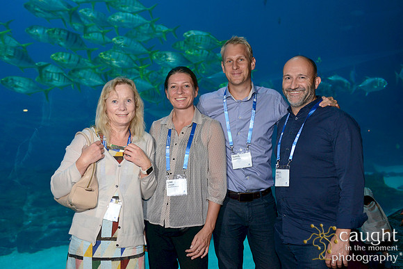1100 AoM Conference 2017 Atlanta