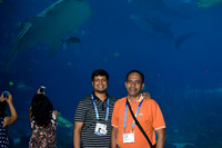 1120 AoM Conference 2017 Atlanta