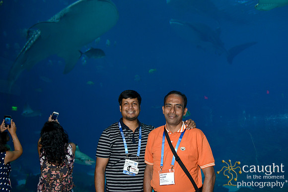 1120 AoM Conference 2017 Atlanta