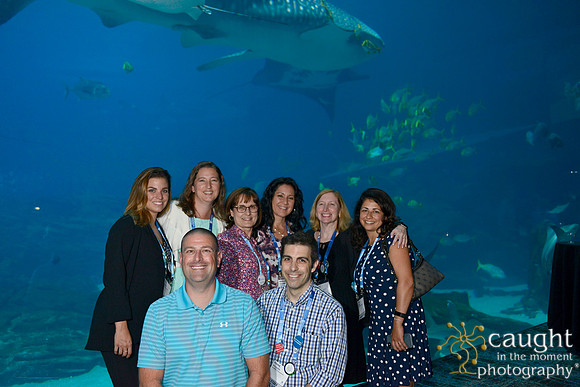1116 AoM Conference 2017 Atlanta