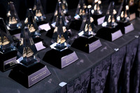 858 IAP Expo 2019-Awards Celebration