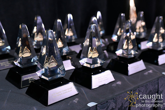 857 IAP Expo 2019-Awards Celebration