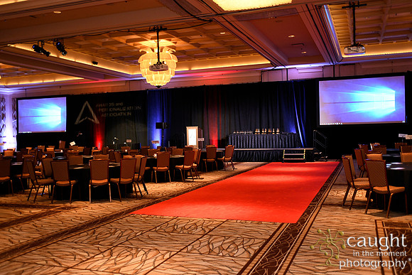 855 IAP Expo 2019-Awards Celebration