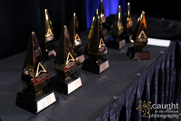859 IAP Expo 2019-Awards Celebration