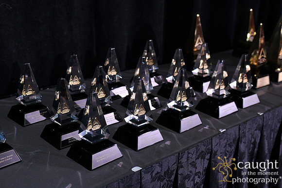 856 IAP Expo 2019-Awards Celebration