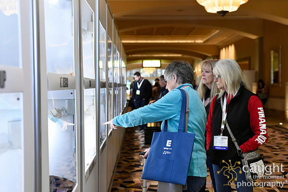 722 IAP Expo 2019-New Product Showcases