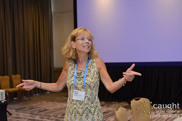 560 AoM Conference 2017 Atlanta