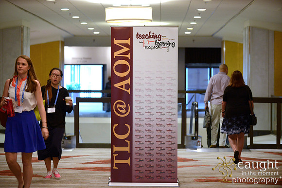 941 AoM Conference 2017 Atlanta