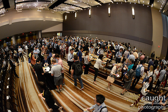659 AoM Conference 2017 Atlanta