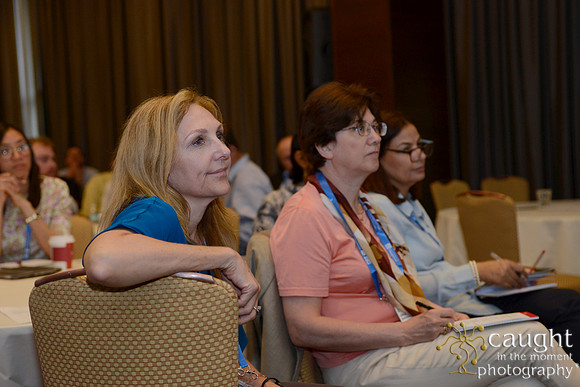 533 AoM Conference 2017 Atlanta