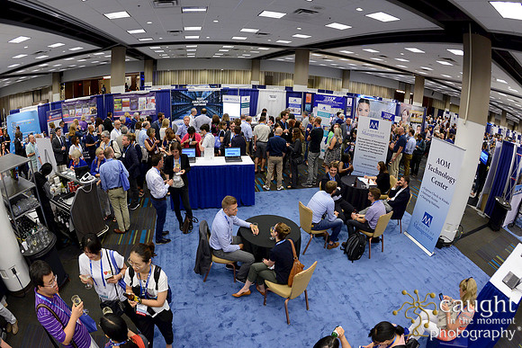 423 AoM Conference 2017 Atlanta