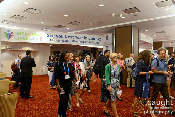 401 AoM Conference 2017 Atlanta