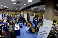 413 AoM Conference 2017 Atlanta