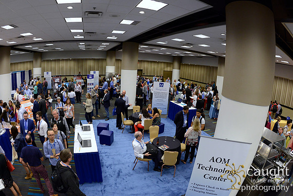 413 AoM Conference 2017 Atlanta