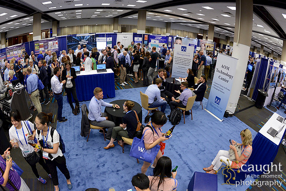 422 AoM Conference 2017 Atlanta