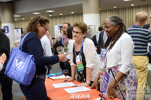 446 AoM Conference 2017 Atlanta