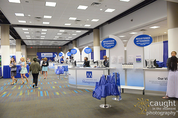 484 AoM Conference 2017 Atlanta