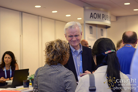 074 AoM Conference 2017 Atlanta