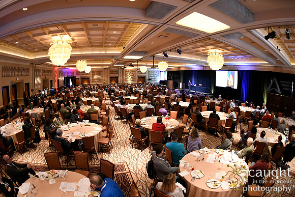 1060 IAP Expo 2019-Annual Meeting