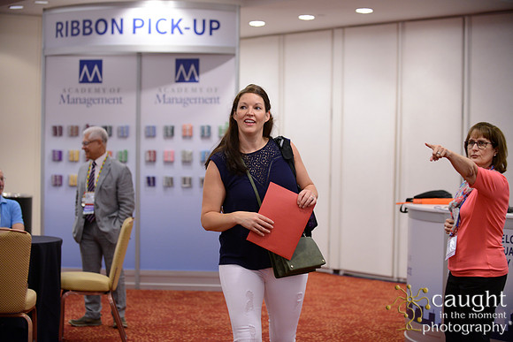061 AoM Conference 2017 Atlanta