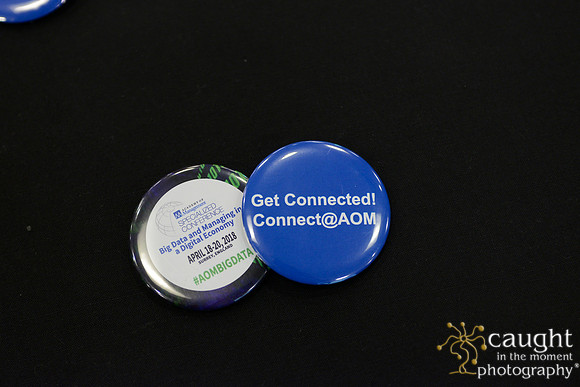 068 AoM Conference 2017 Atlanta