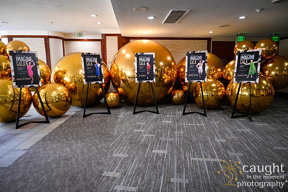 020 Imagine Gala 2024