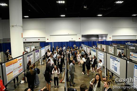 402 HOPA 2024 Conference in Tampa - Posters